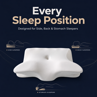 Cove Ergonomic Memory Foam Pillow
